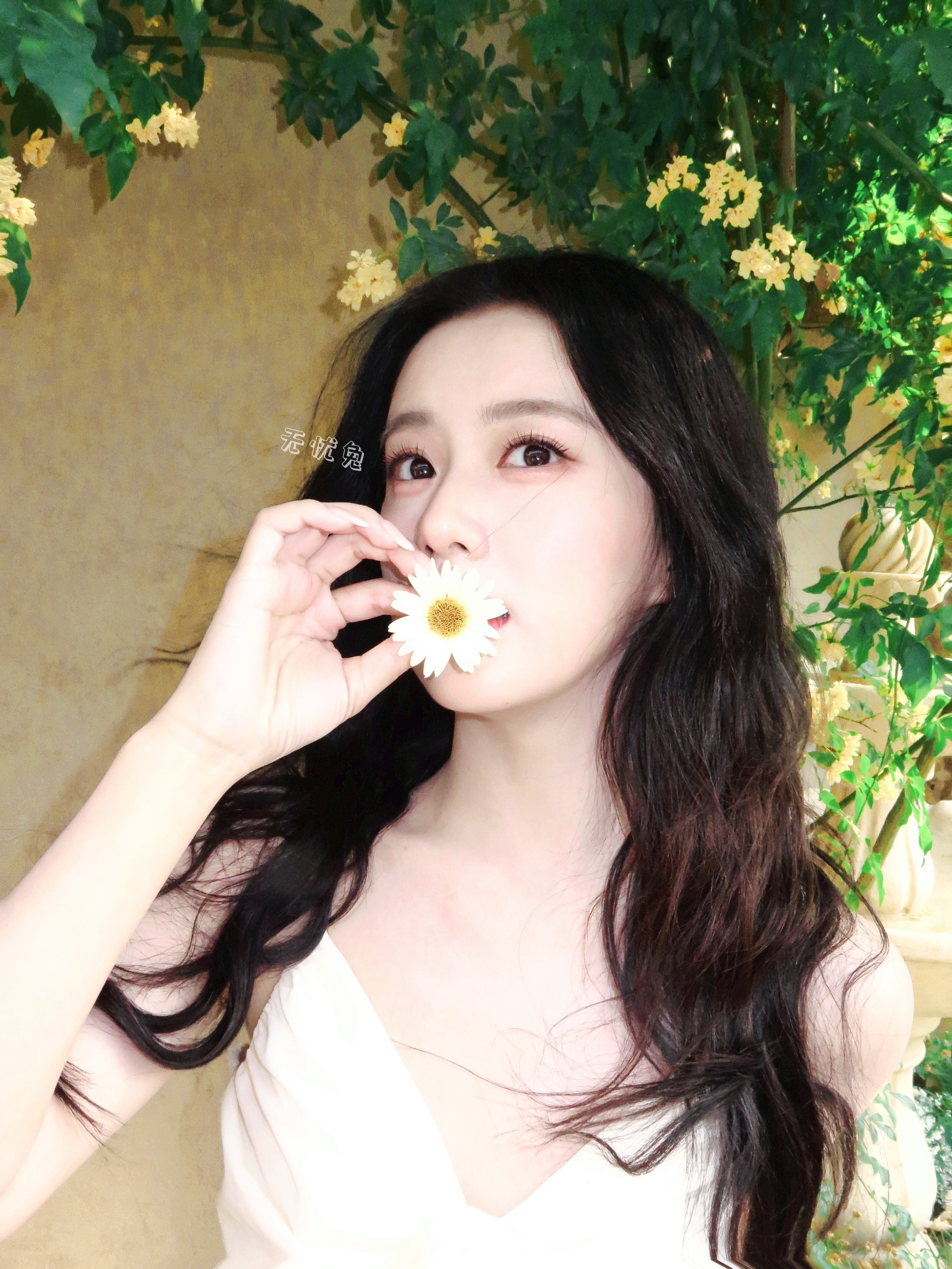 包上恩  💛 包上恩江湖夜雨十年灯 💛包上恩蔡昭圣诞是冬的来信，而你是我的惊