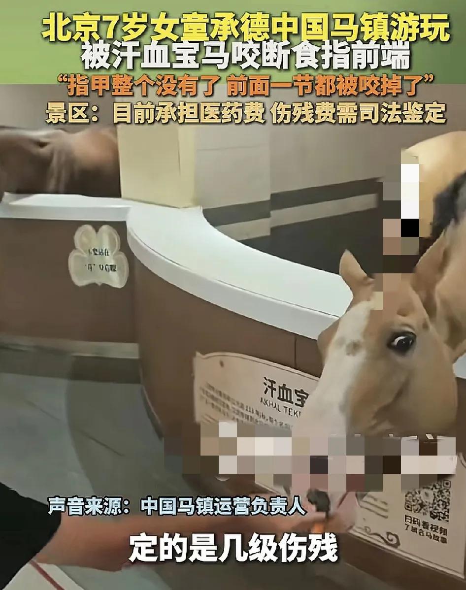头号创作者激励计划河北承德国家著名景区，中国马镇来自北京的一家三口，一名小女孩在