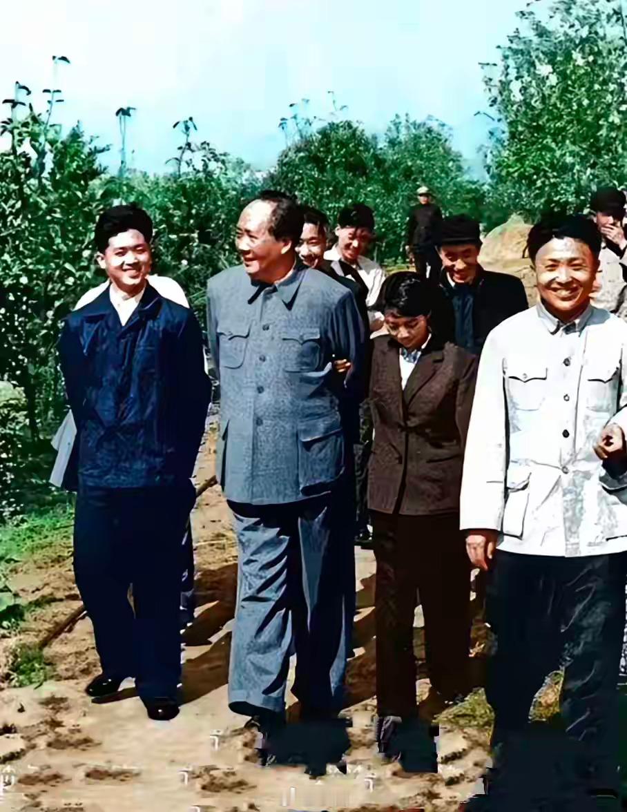 林间沃土藏民生，毛主席与基层工作人员一同漫步调研，温和的笑容拉近了与一线工作者的