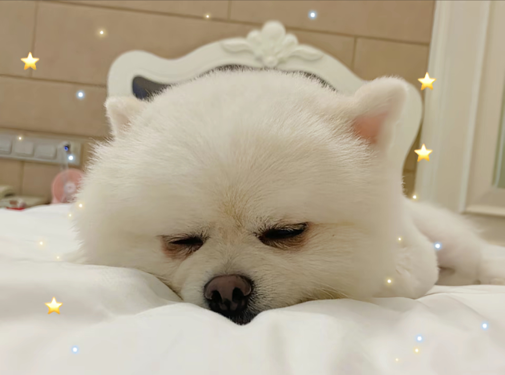 一些哥哥的睡颜 