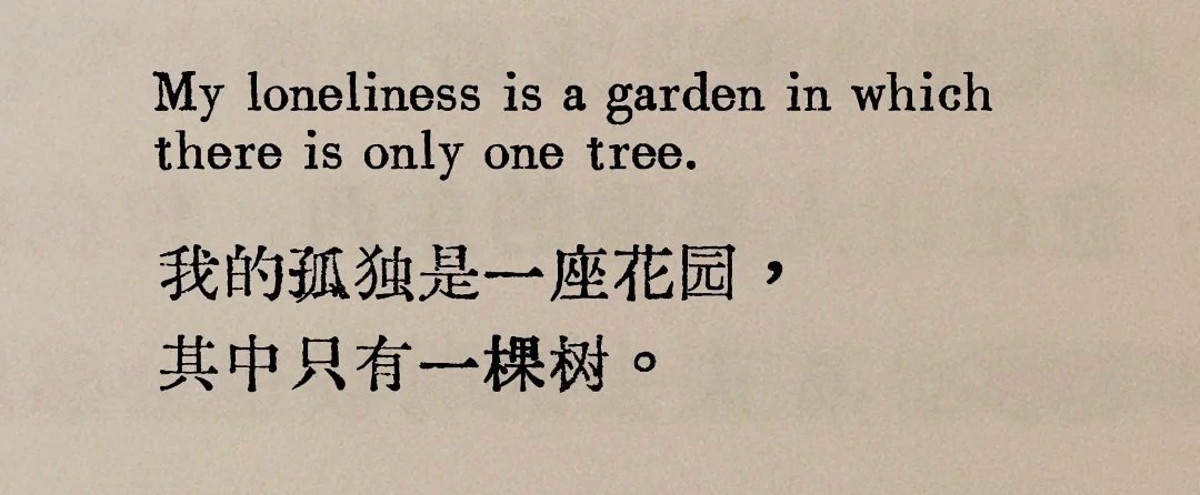 My loneliness is a garden in which there
