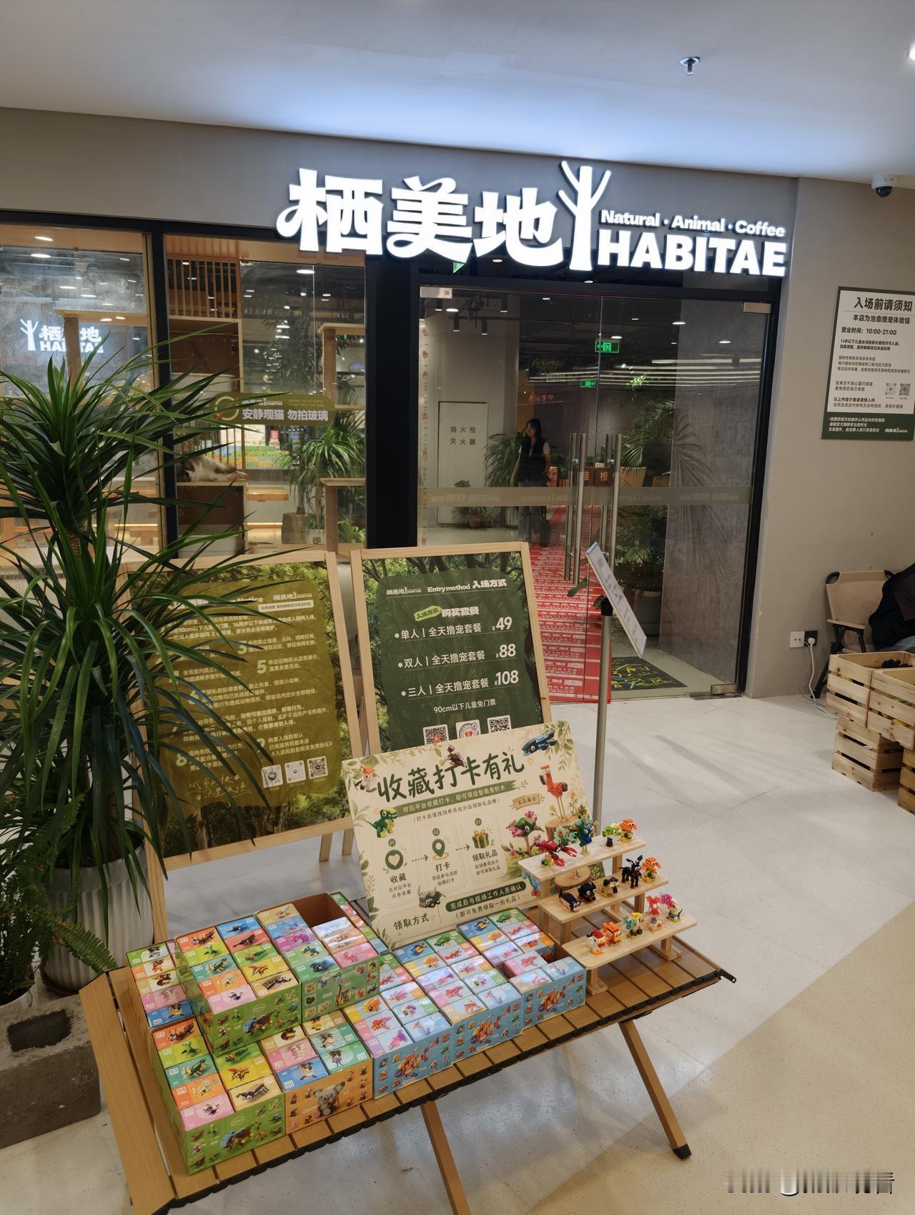秋日生活打卡季