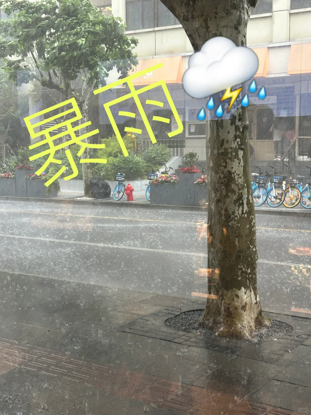 看完房下暴雨了