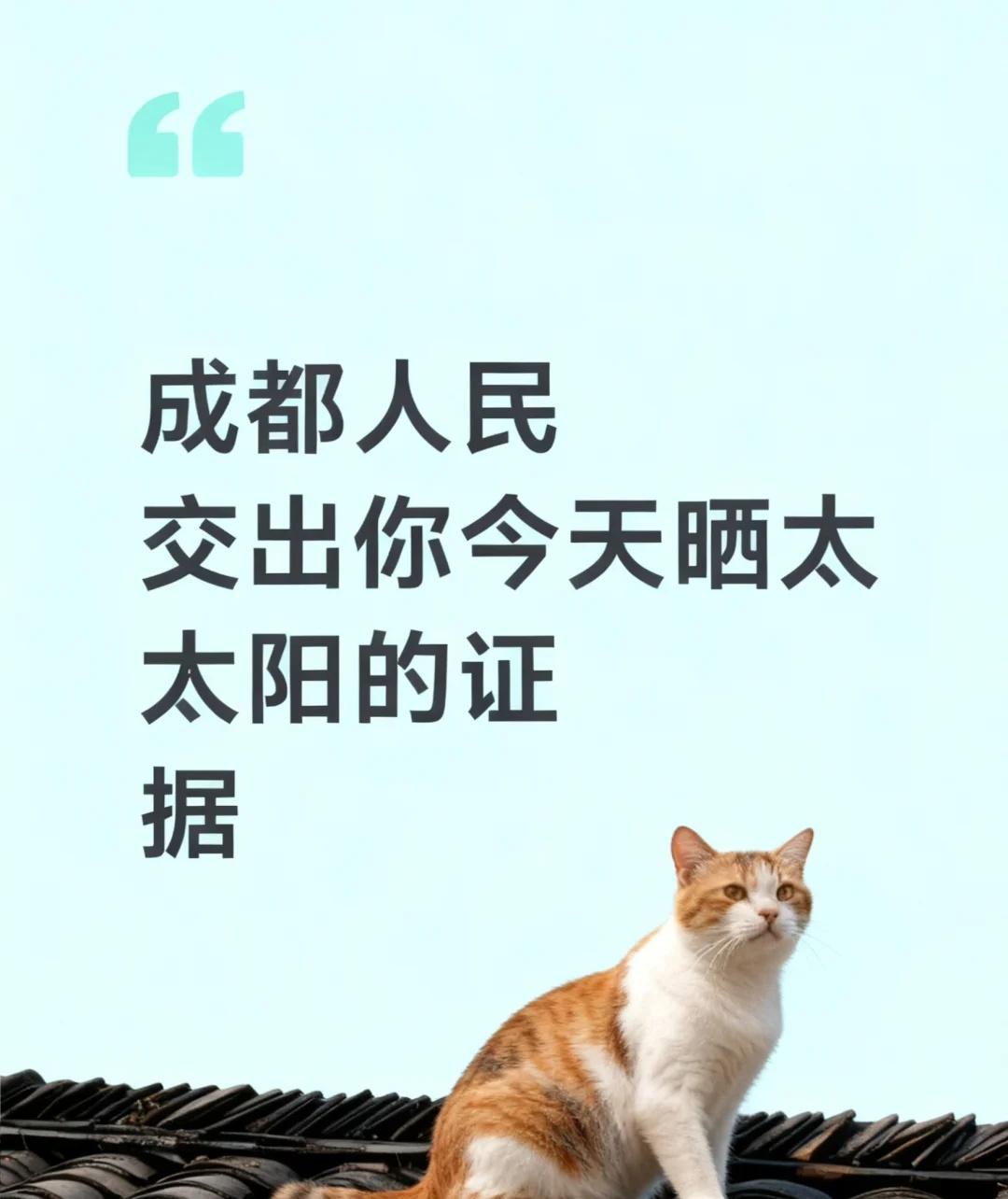成都人民今天都在哪里晒太阳🌞
谁懂周末大太阳出来的含金量，感觉今天全成都人民都