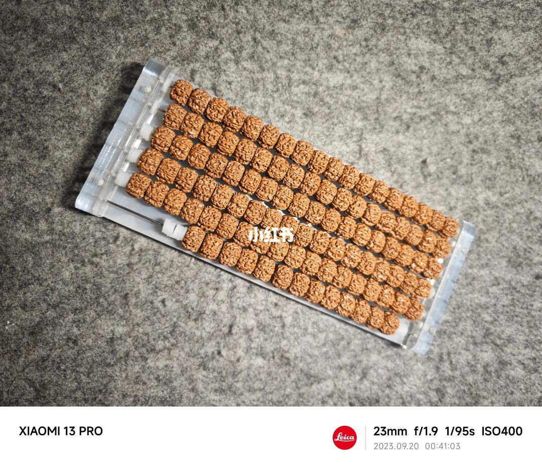 NO.264 送套刷藏式工具