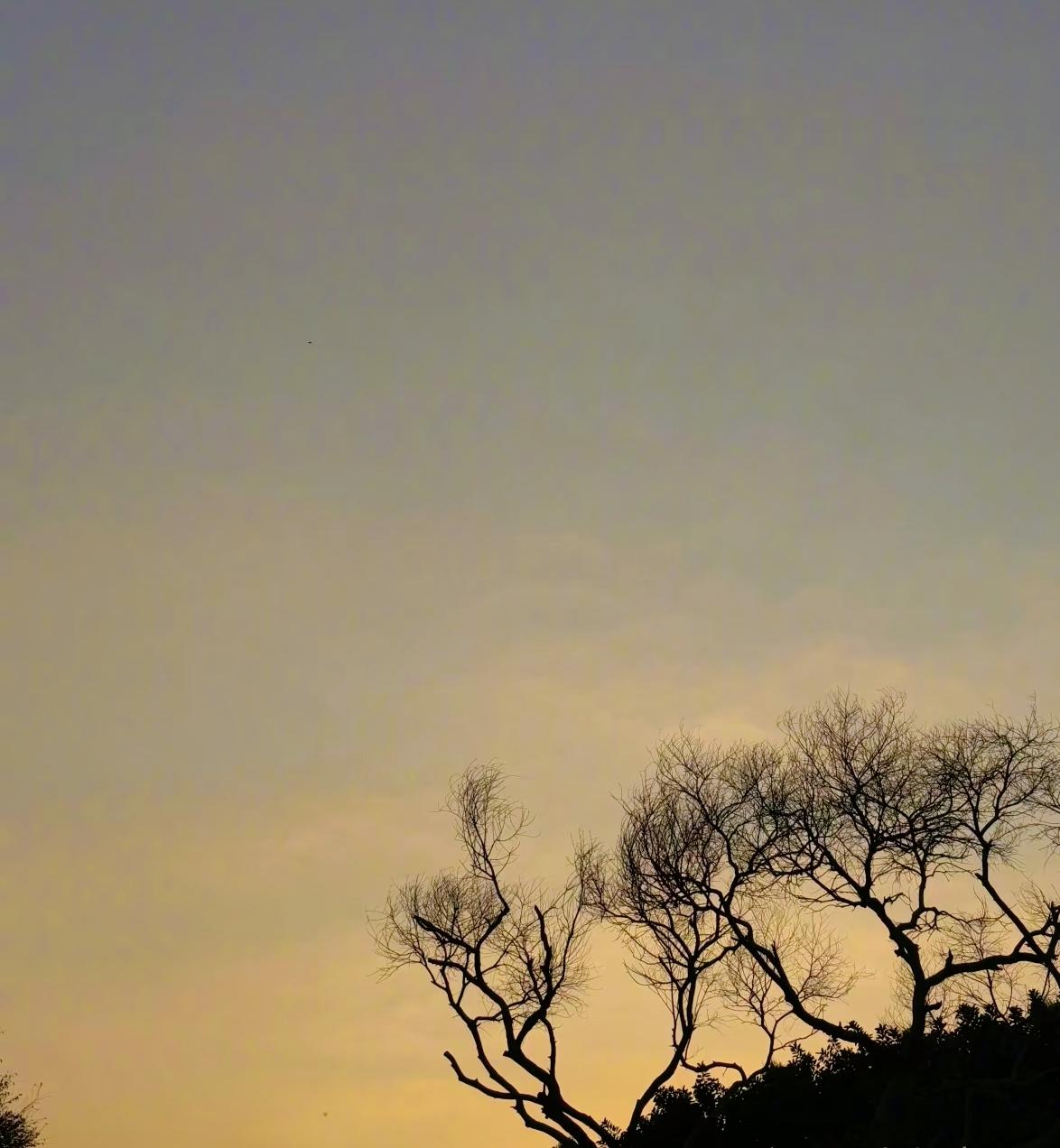 九边pro老师说：：这两天正在搞那个征信恢复。和封存民事处分，也是这个逻辑，犯过