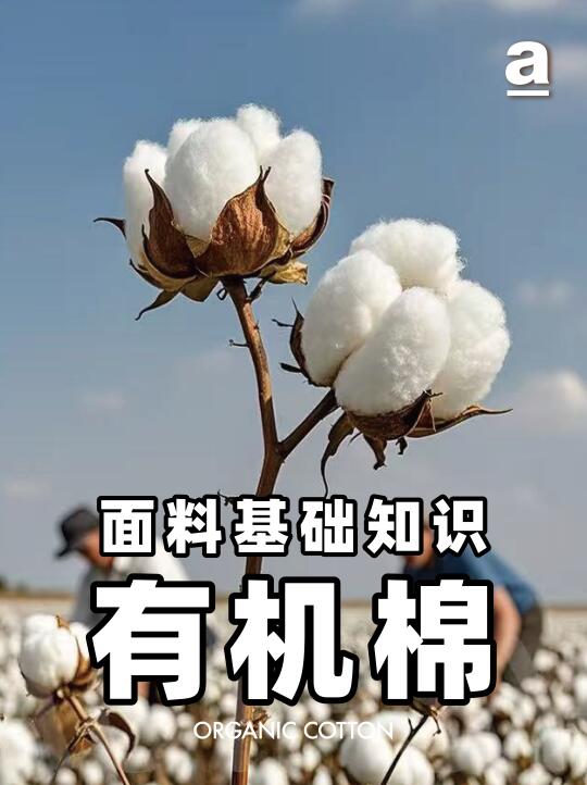 有机棉=纯棉？3分钟搞懂有机棉面料真相！