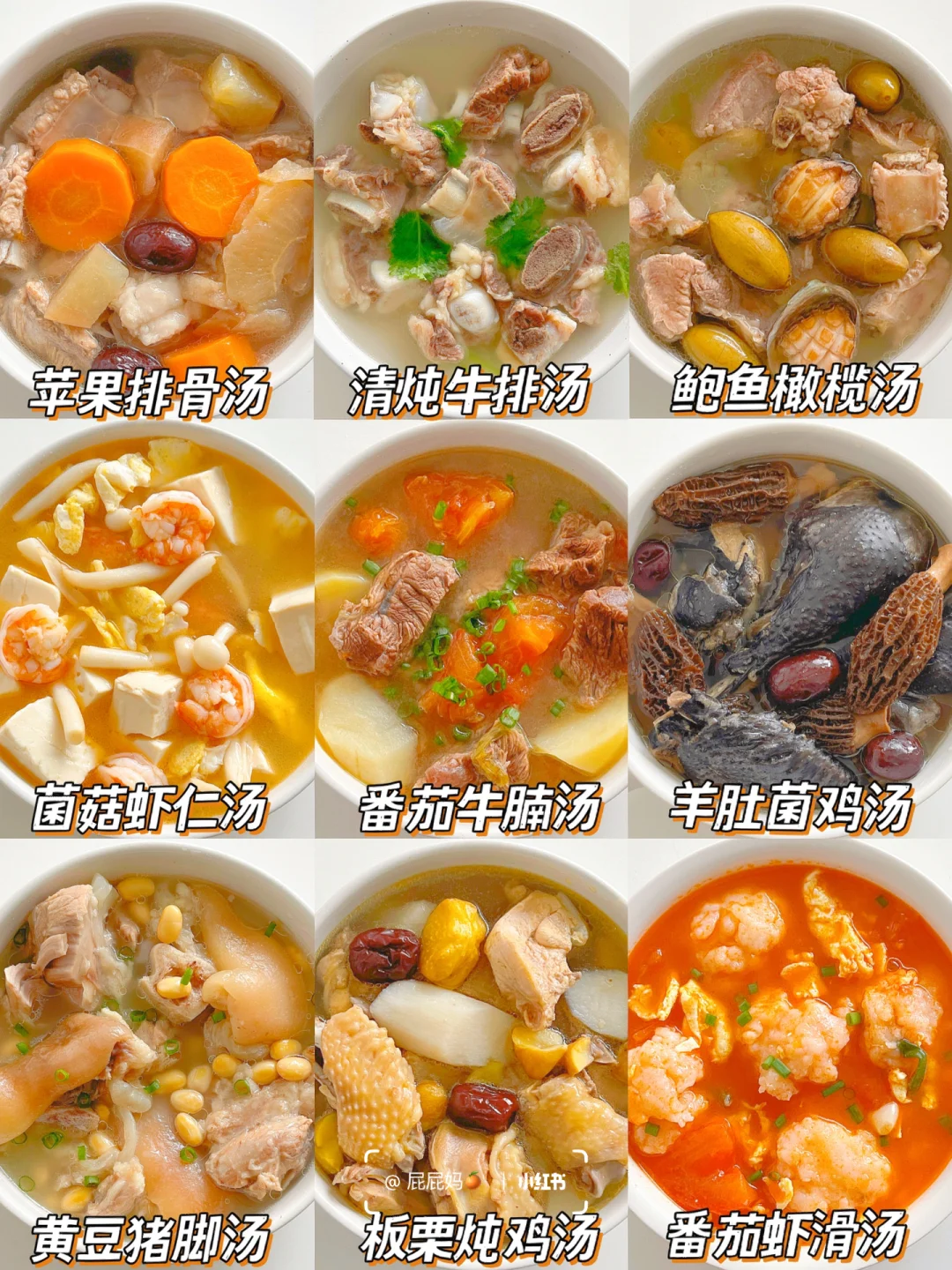 冬季营养炖汤食谱合集｜简单好喝‼️