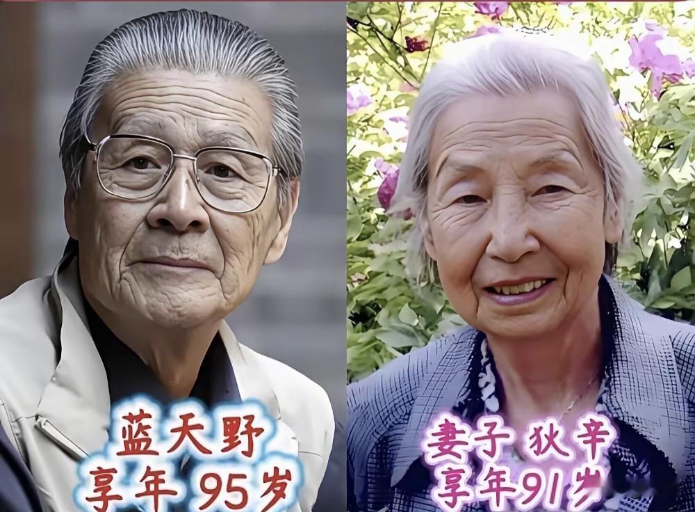 老一辈艺术家的爱情，没有甜言蜜语，却活成了白头偕老最好的模样。
蓝天野与狄辛相伴