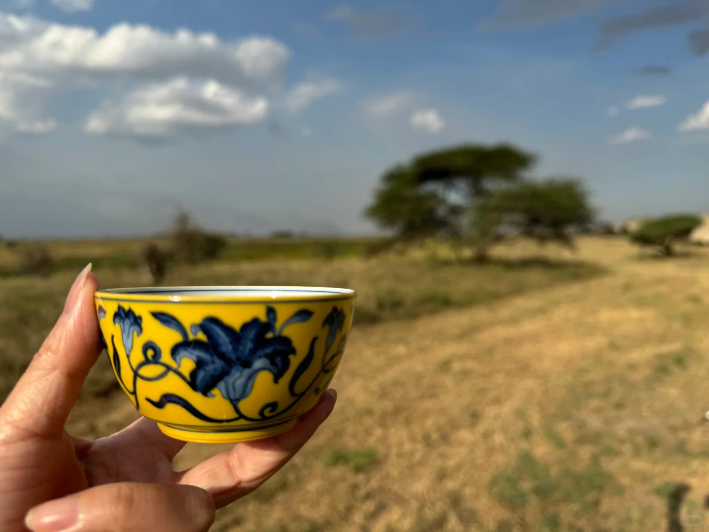 在非洲大草原上喝茶是一种什么样的体验呢？