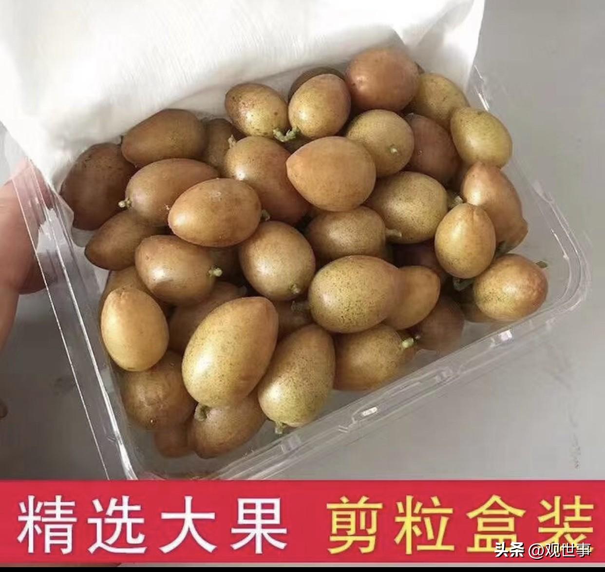 真心话茶局芳村茶文化节