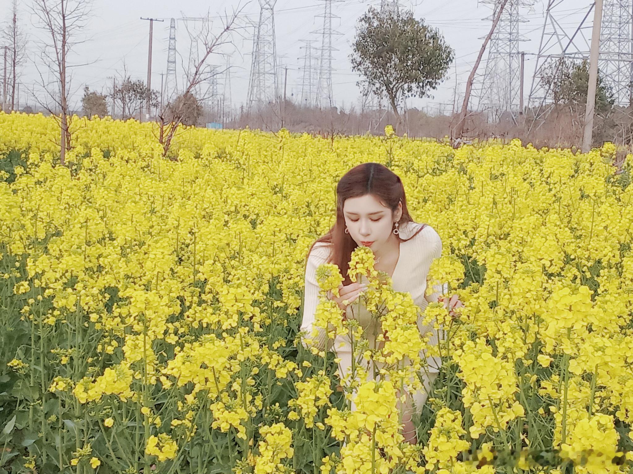 一见钟情是审美积累的爆发  ​​​