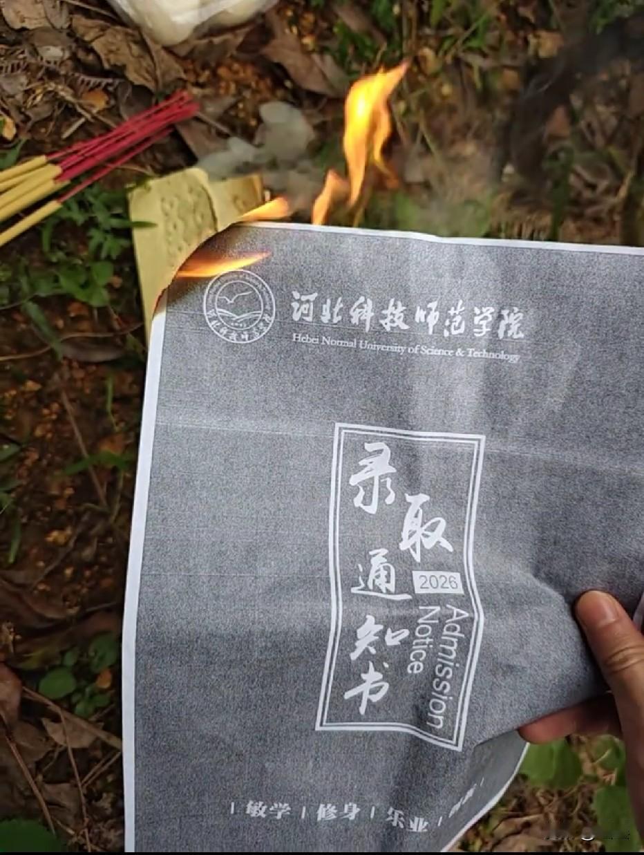 录取通知书烧给爷爷