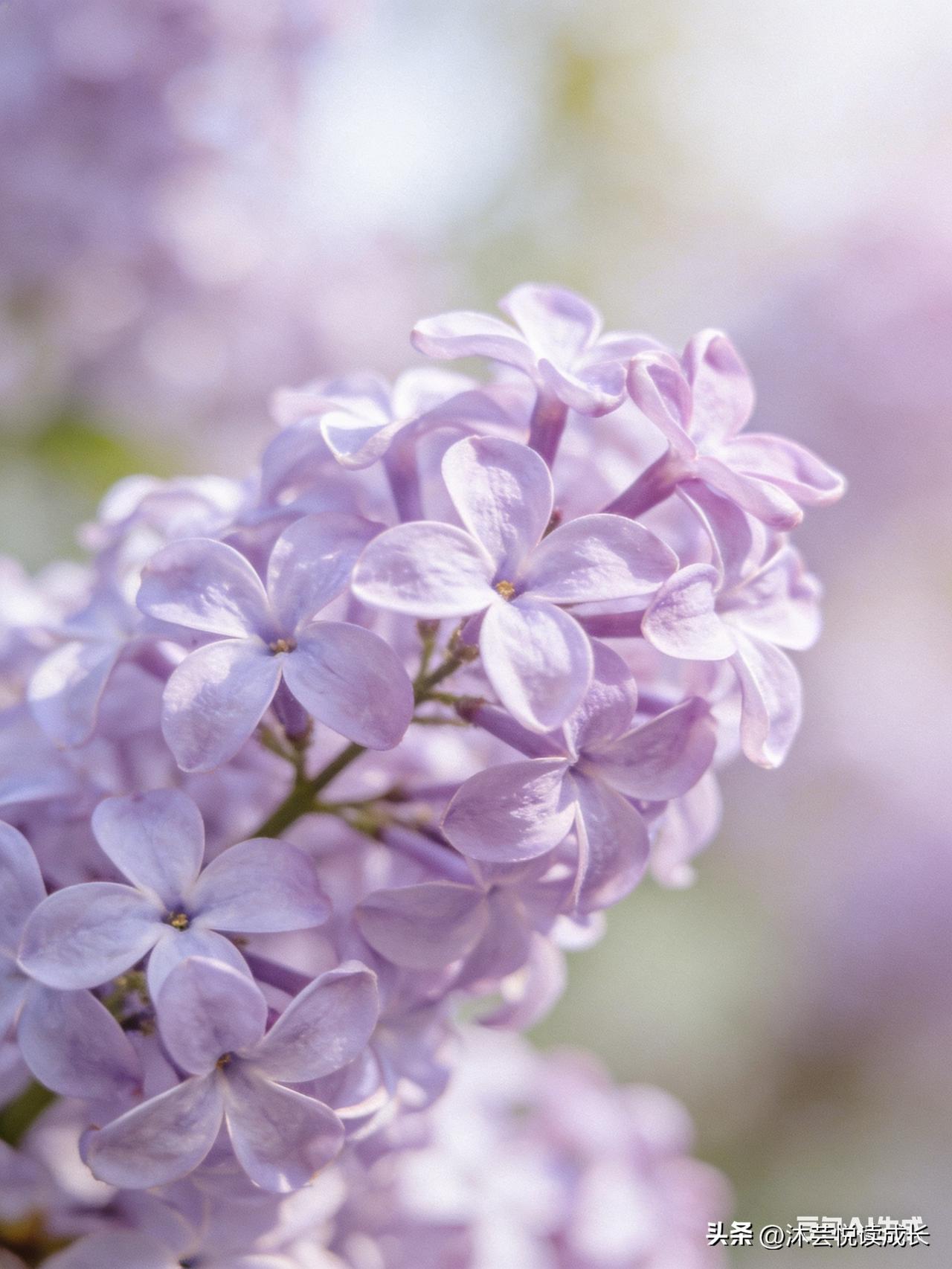 琴弦需要松弦
人生也是
 
告别
职场纷扰
 
迎接
烟火寻常
 
给自在的自己