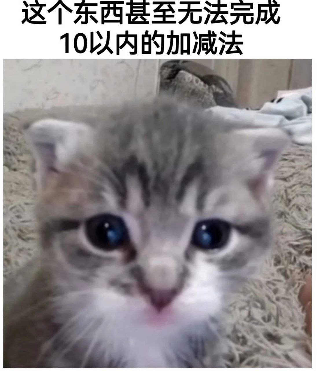 bro 弱爆了 ​​​