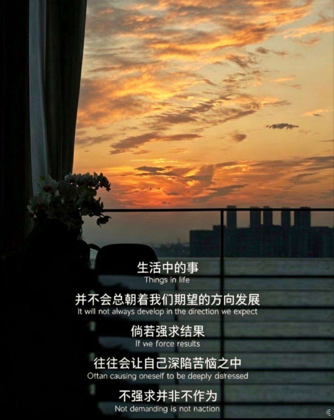 尽力而为，其余顺其自然 