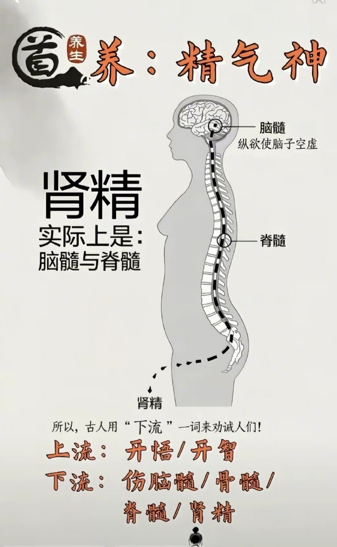 年轻时我肯定是化性欲为食欲了，超级能吃。吃饱饭就睡觉，没什么想法。后来是化性欲为