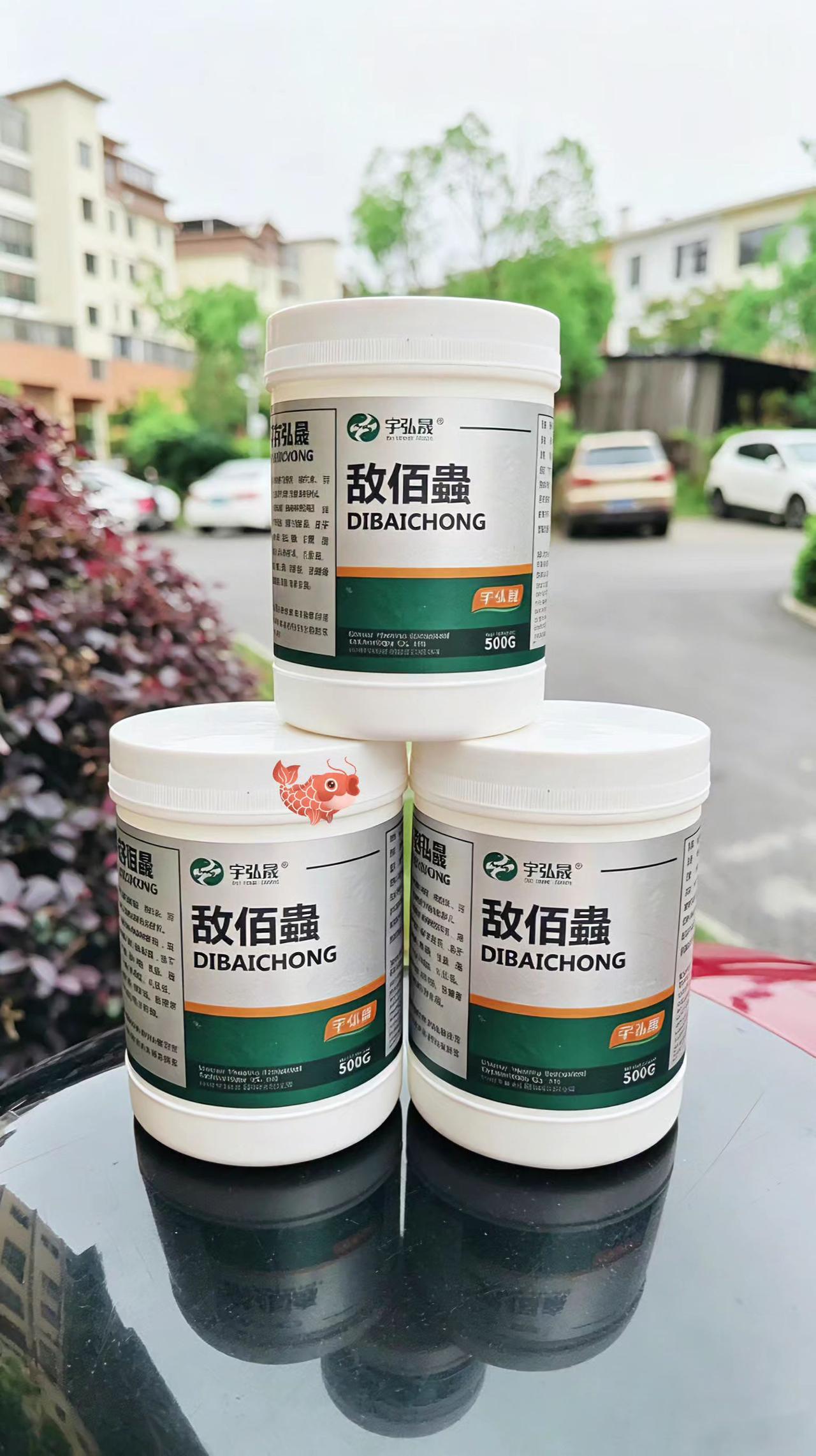 敌佰蟲 鱼塘养殖 鲢鱼 鲤鱼 草鱼