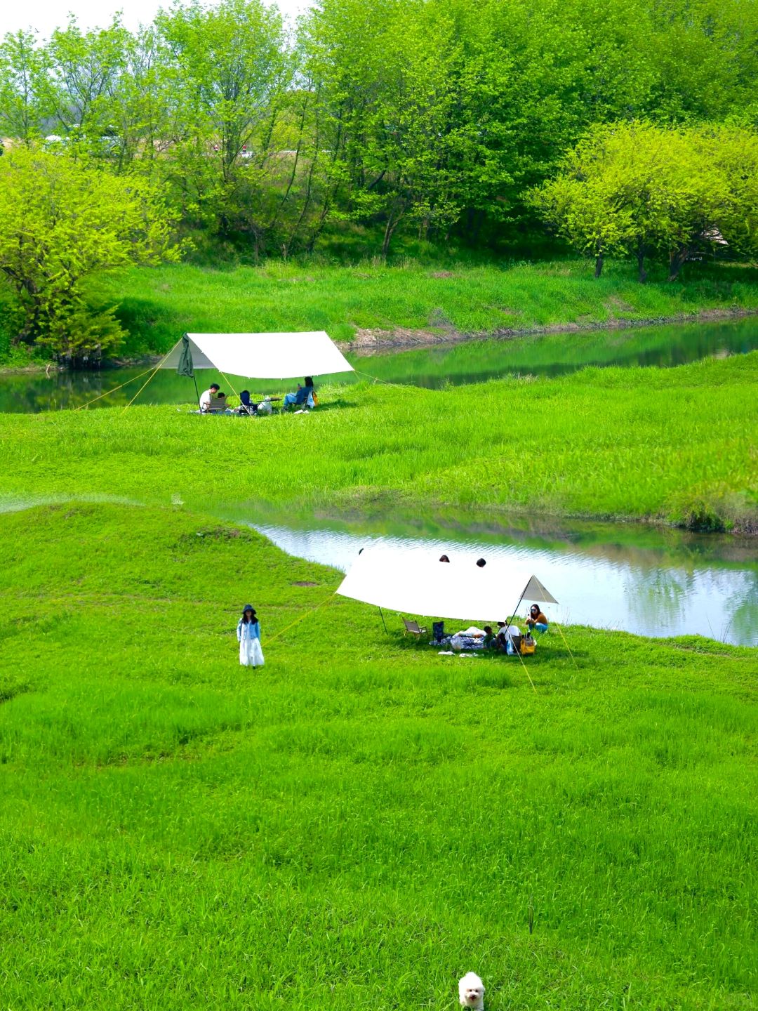 春日citywalk 🏕️杭州这三个免费露营攻略