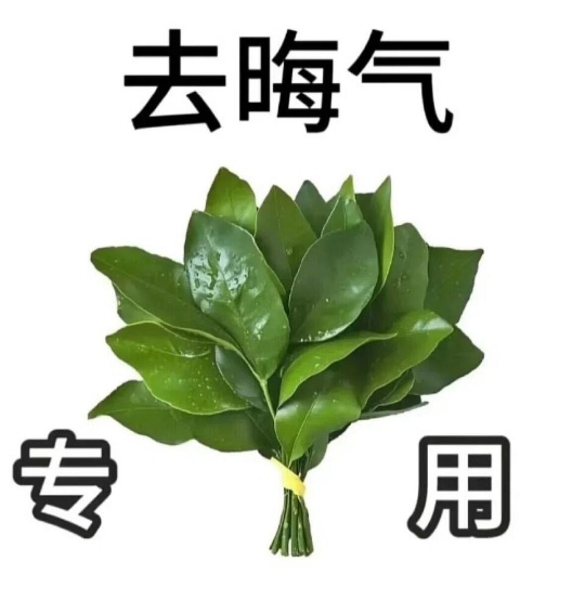 分享图片 
