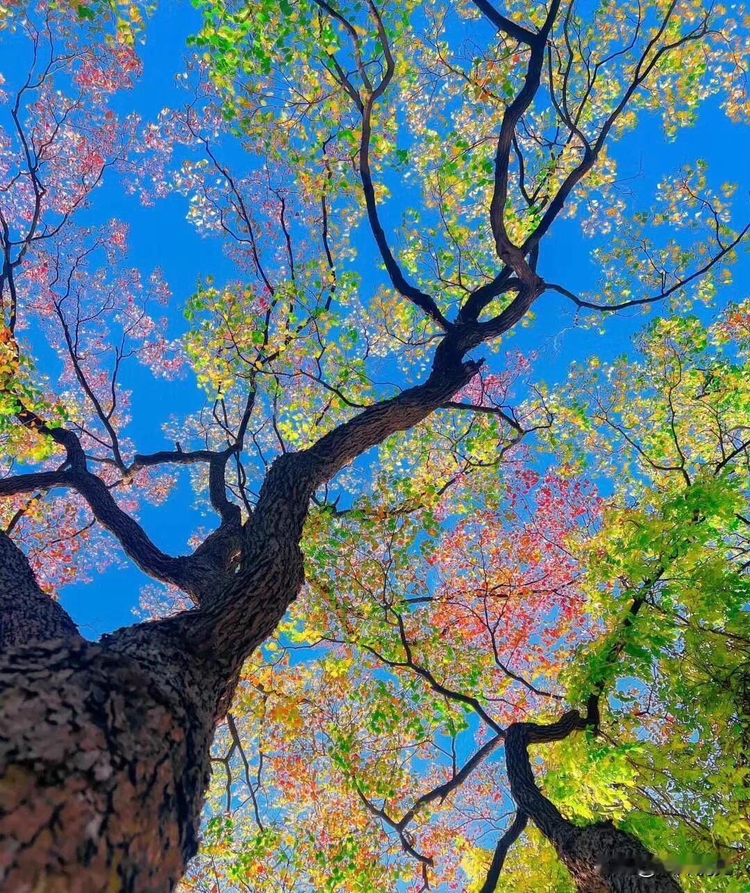 《今日评安全事故之殇》

交通事故生产事故年年🈶️
一会这撞车，一会那火灾
