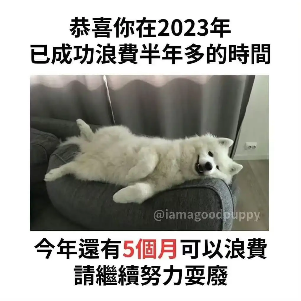 <img src=
