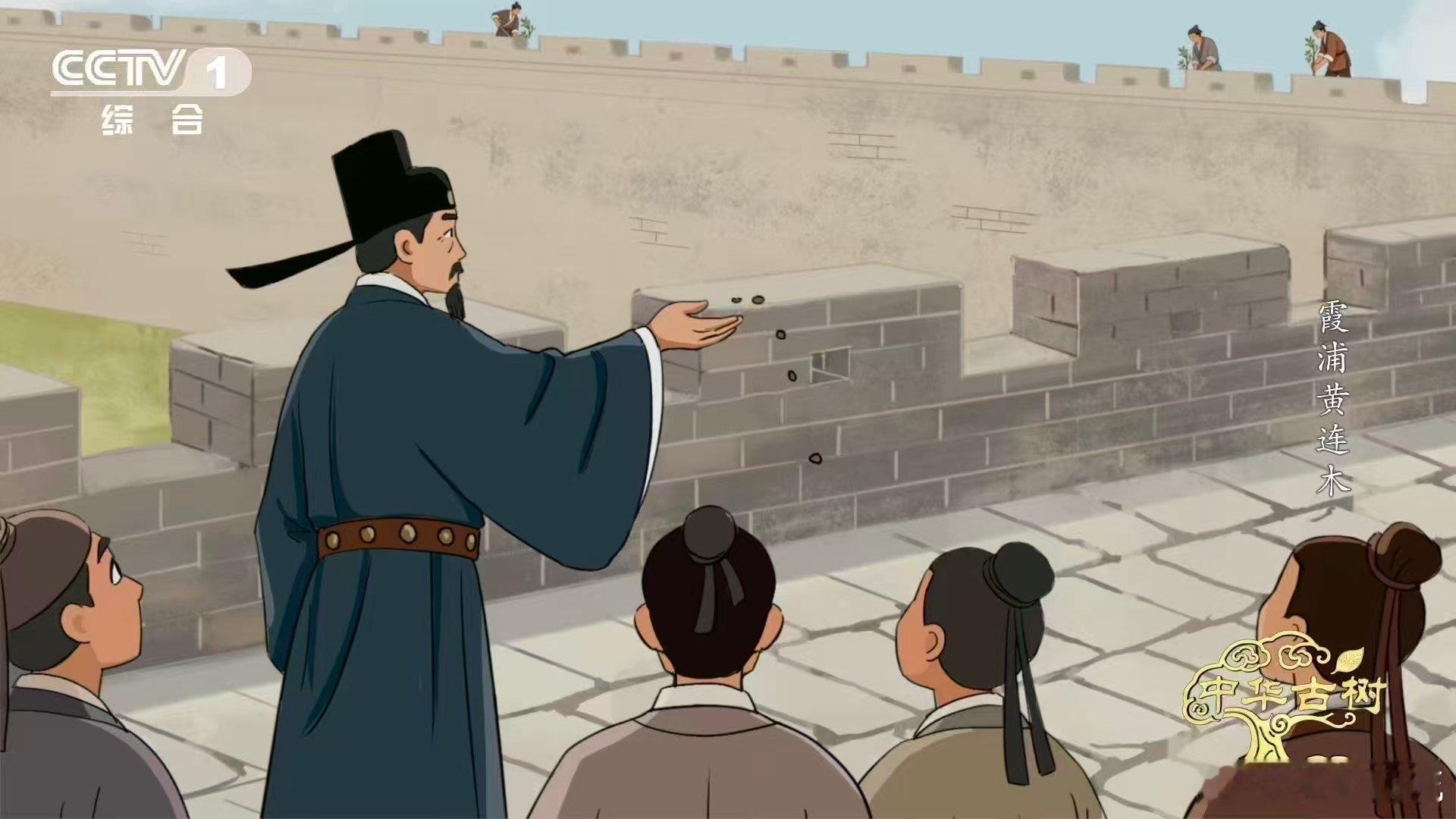 站在福建霞浦的渔村前，望着那112株连成一片的百岁古树，心中不禁涌起一股深深的敬