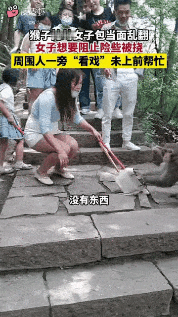 碰到这样的猴子，有什么解决方案吗[捂脸]