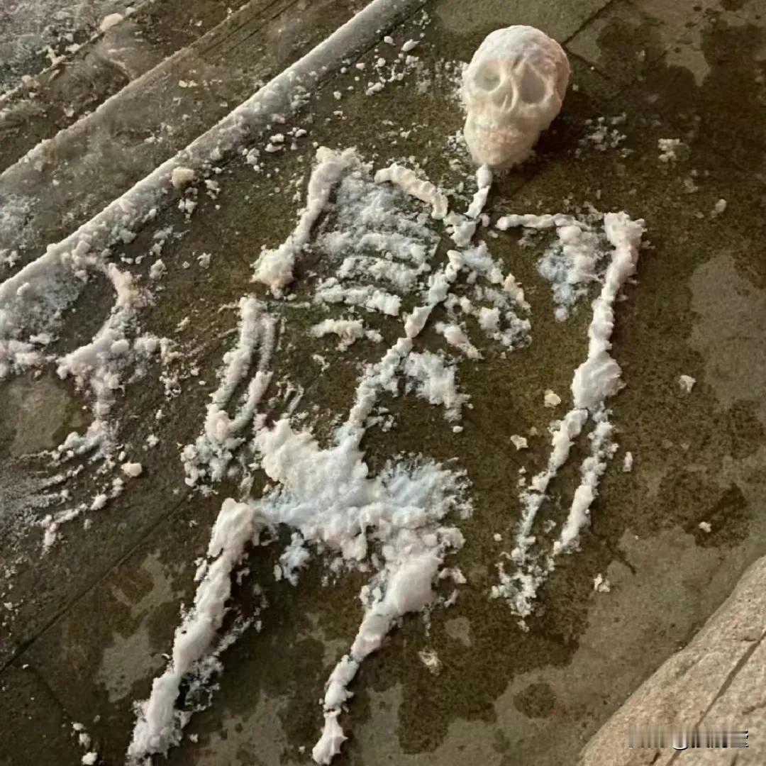 黄宗伟：
“鬼是死去的人，人是活着的鬼”

（下图↓北京雪后路拍）

 #北京春