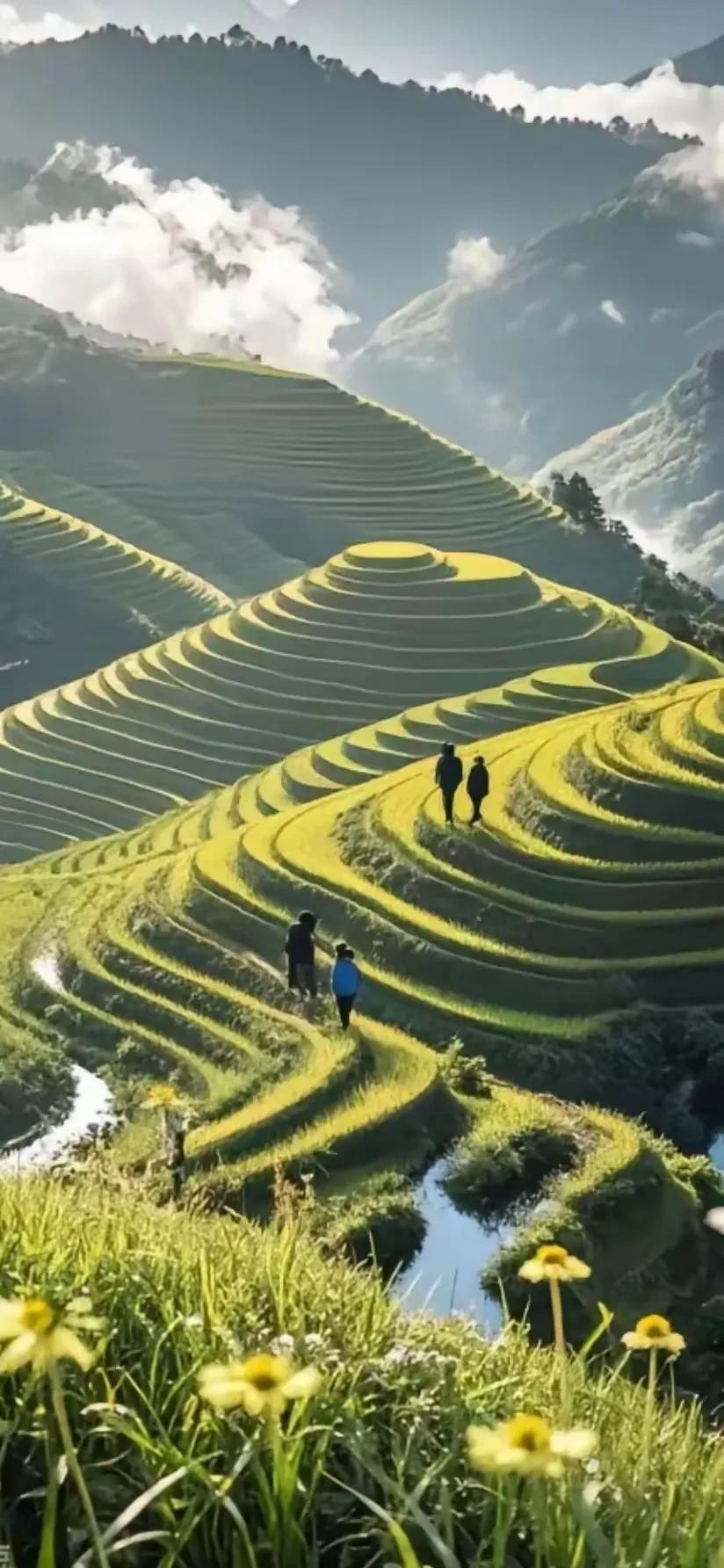 上联：龙脊梯田黄丝带；
下联：？？？