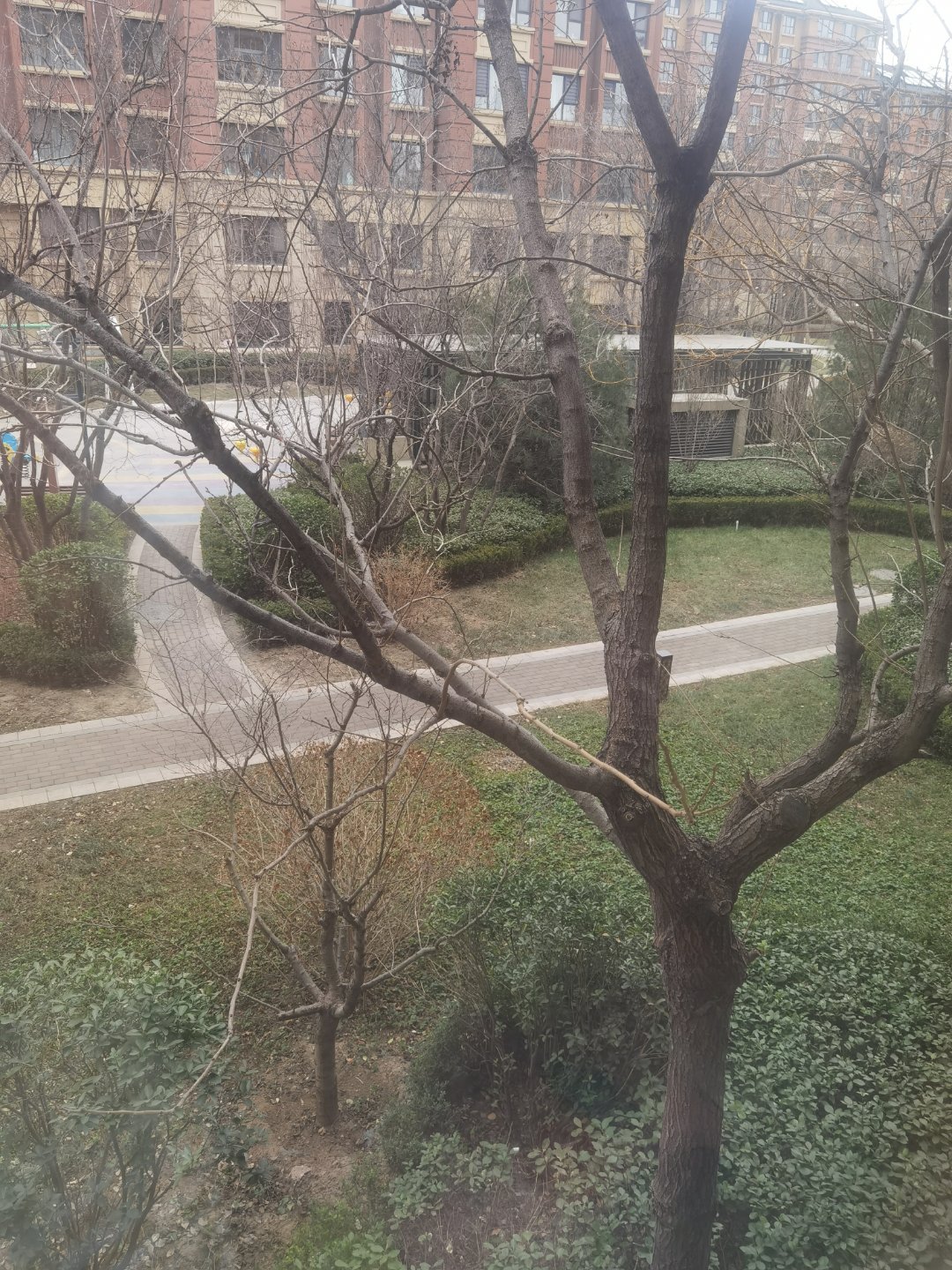 说好的雪呢，等了一上午也没下下午我可要出门啦 