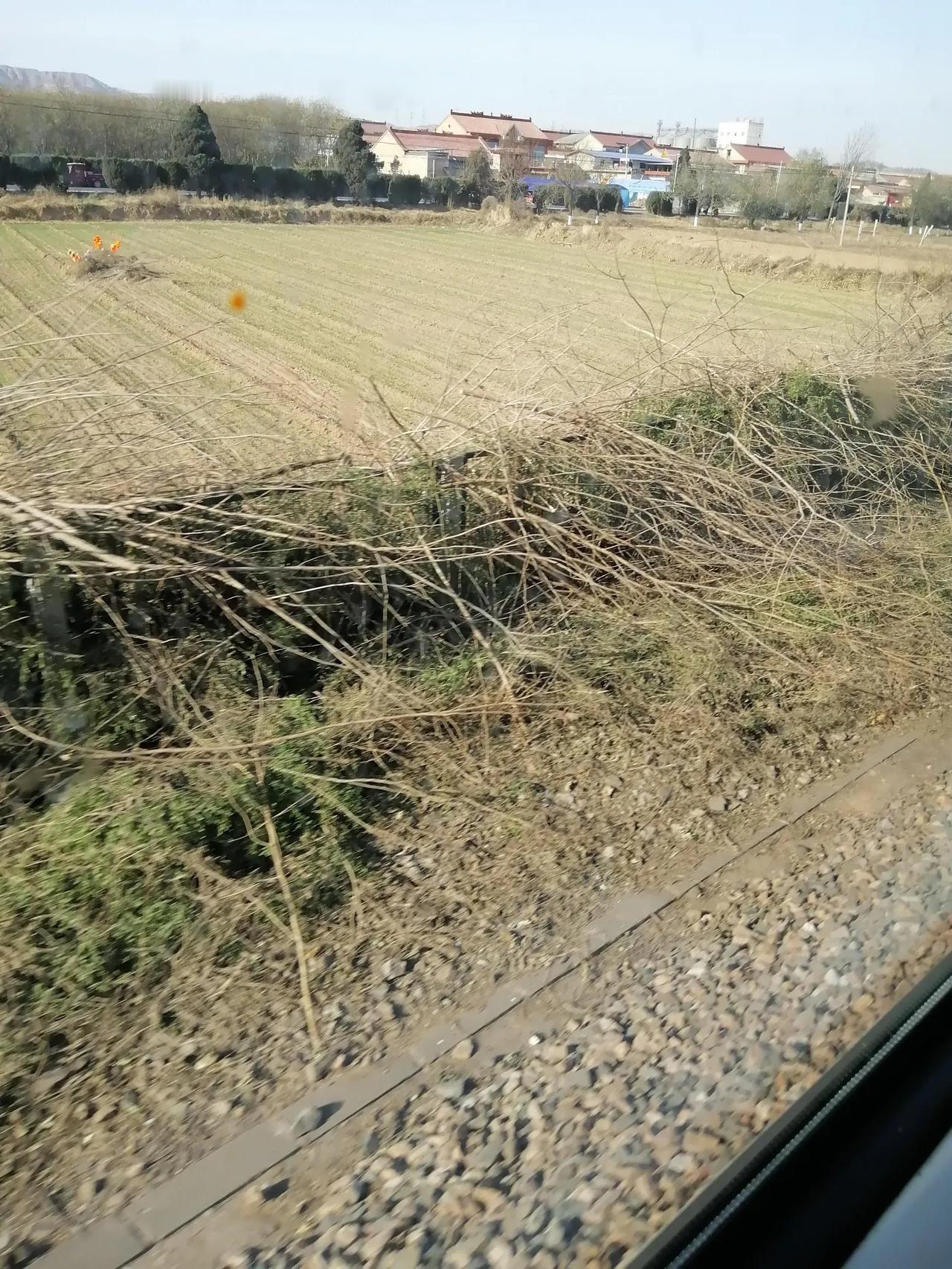 老家的红白事还有必要回去吗？
又一次从老家坐火车返唐   有很多朋友想不通为啥老