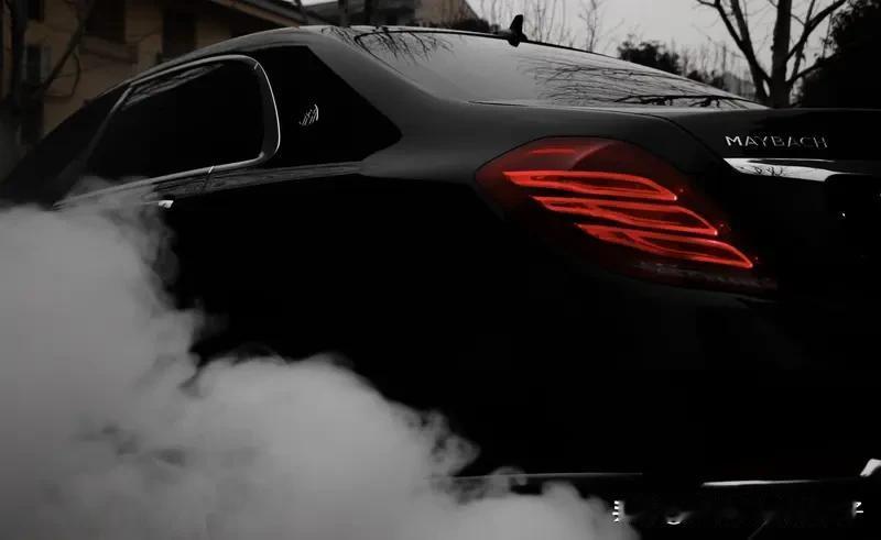 日入万元烤鸡少年：梦想开上迈巴赫 最近，深圳16岁烤鸡少年火了，他日入过万、月入