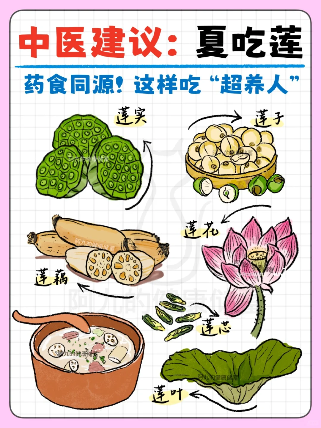 🪷夏天吃「莲」超养人‼️码住5️⃣种“吃莲法”