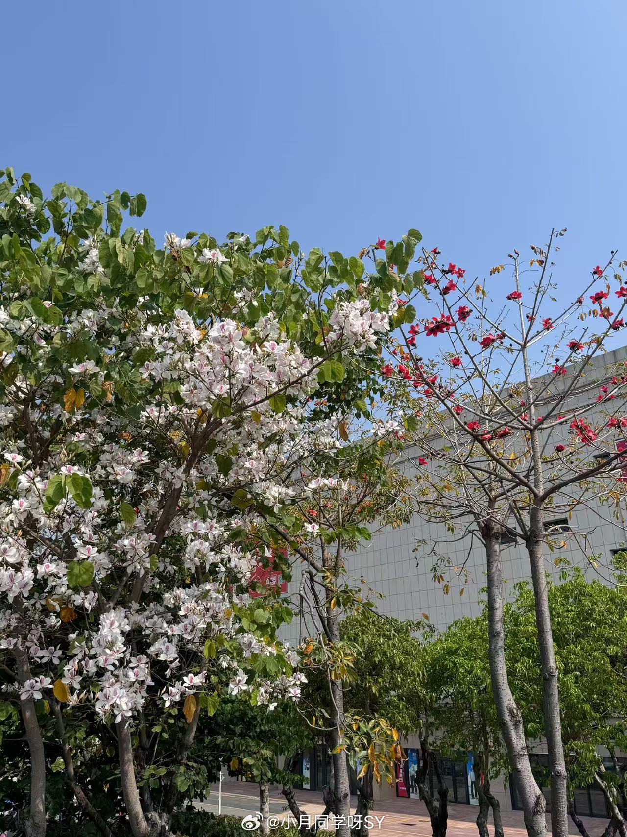 年轻人的出行偏好有多真实不晕车排打车需求第4现在的年轻人打车，舒。适度排第四居然