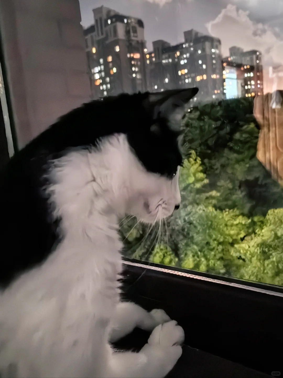 双倍圆满！🌕