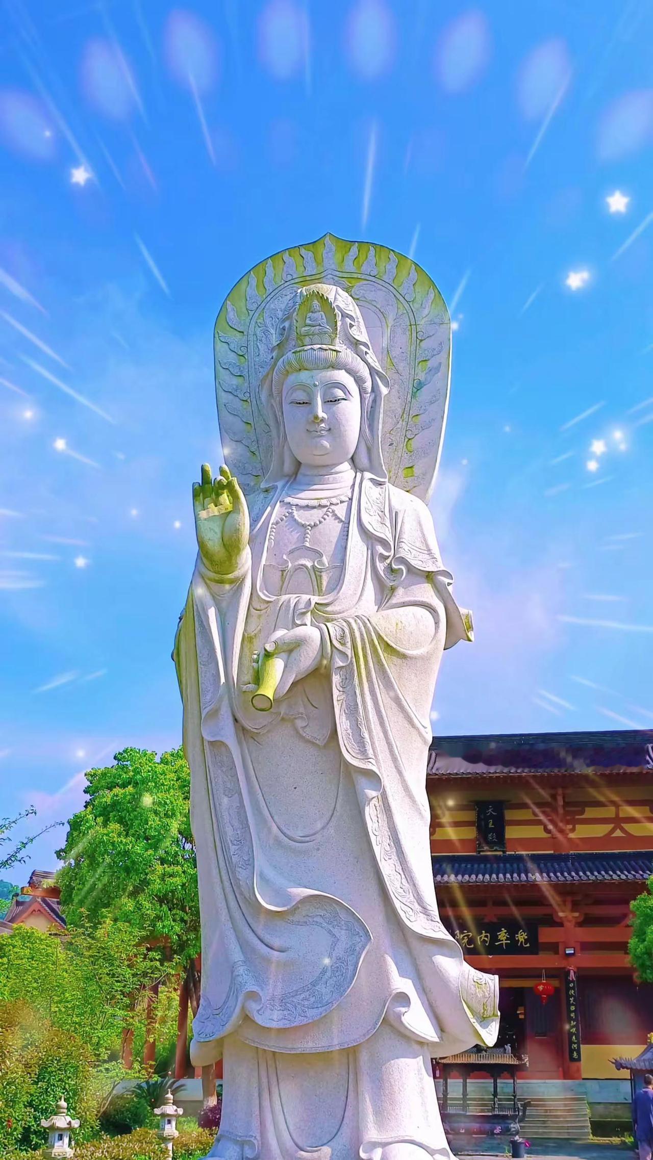 愿所求皆所愿