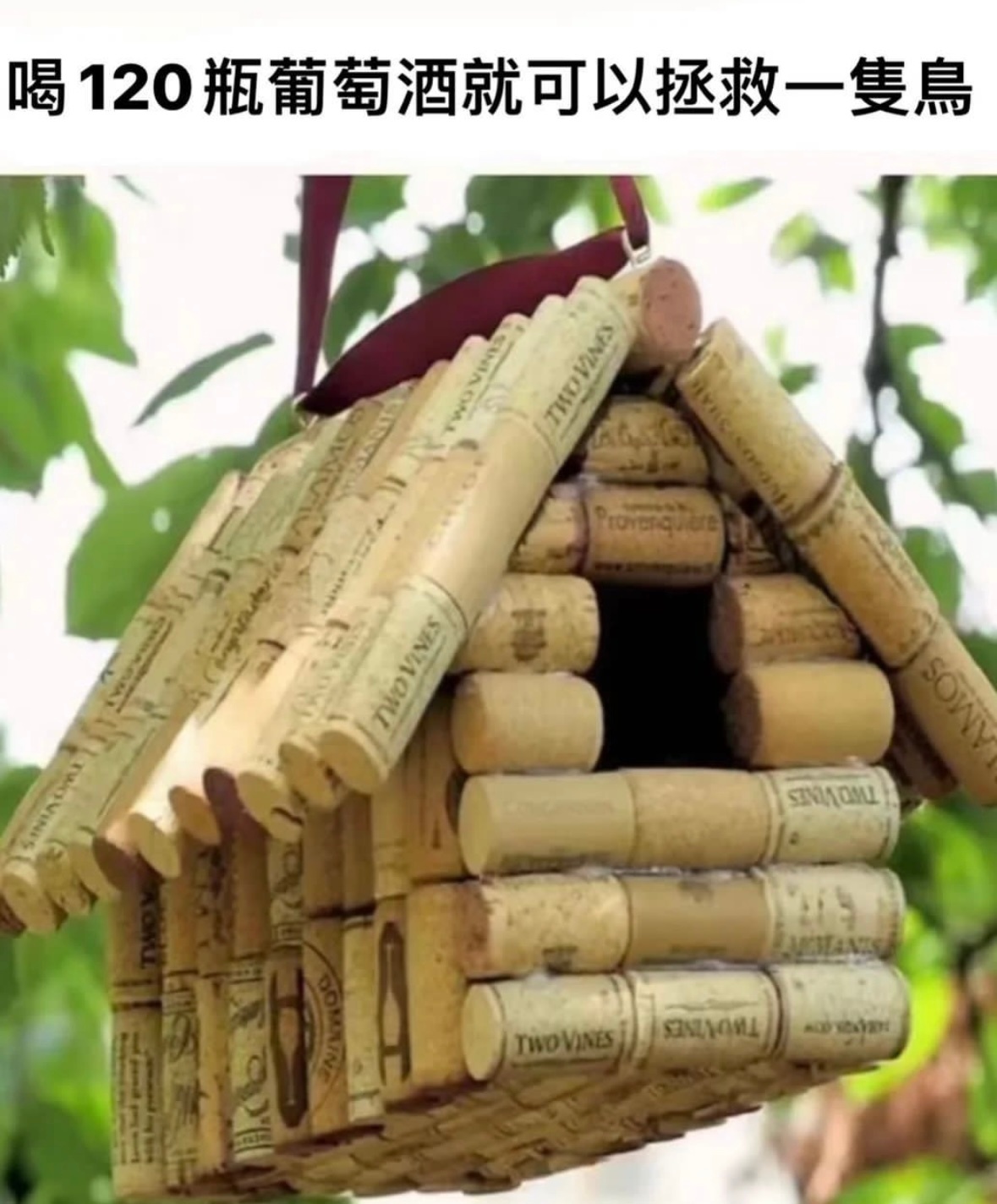 爱护动物 酒鬼有责#meme# ​​​