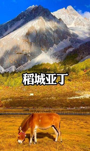 城市向导官创作者赏金计划创作者服务中心中国绝美自驾游线路推荐318川藏线最美风景