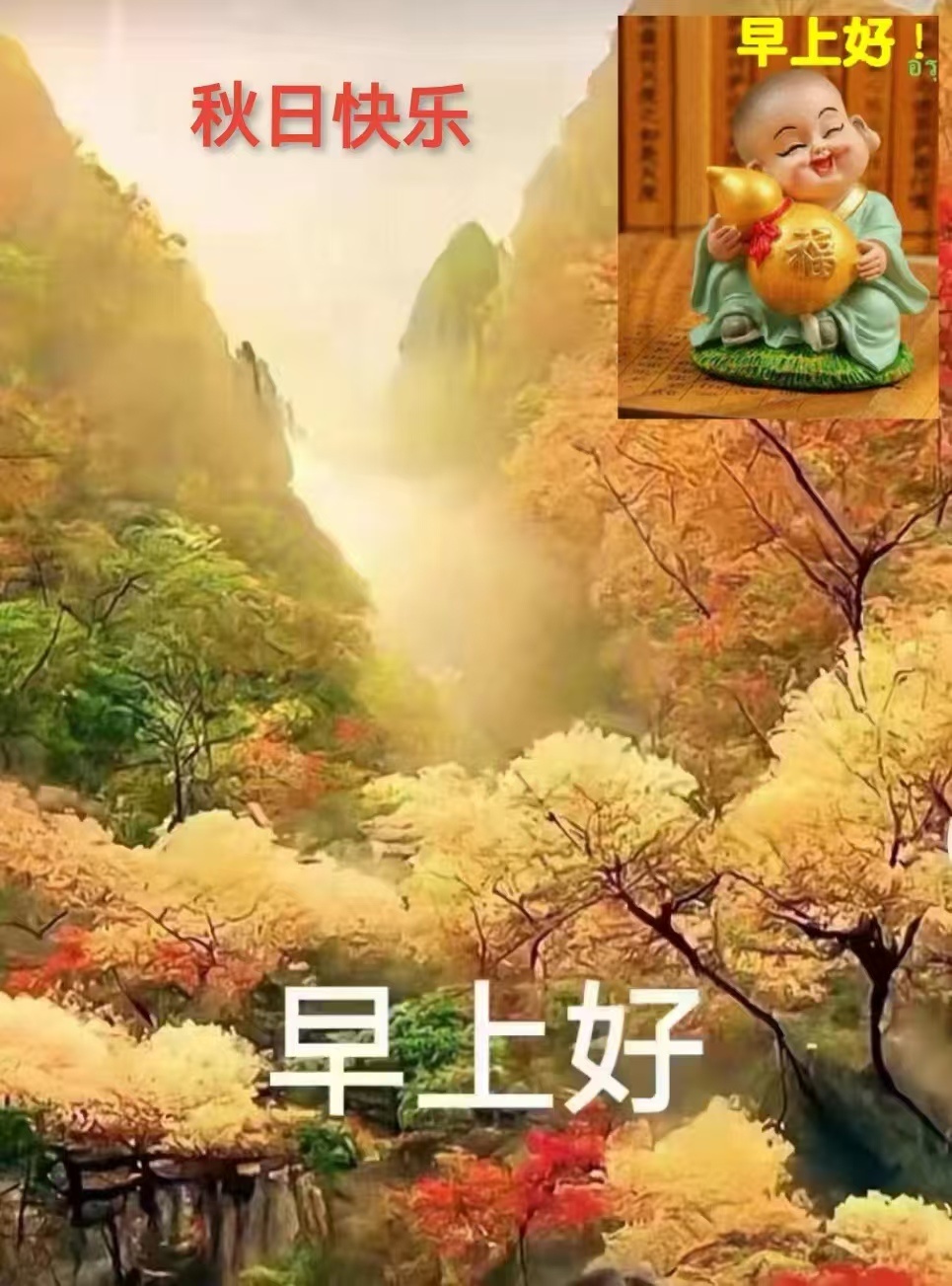 分享图片 ​​​