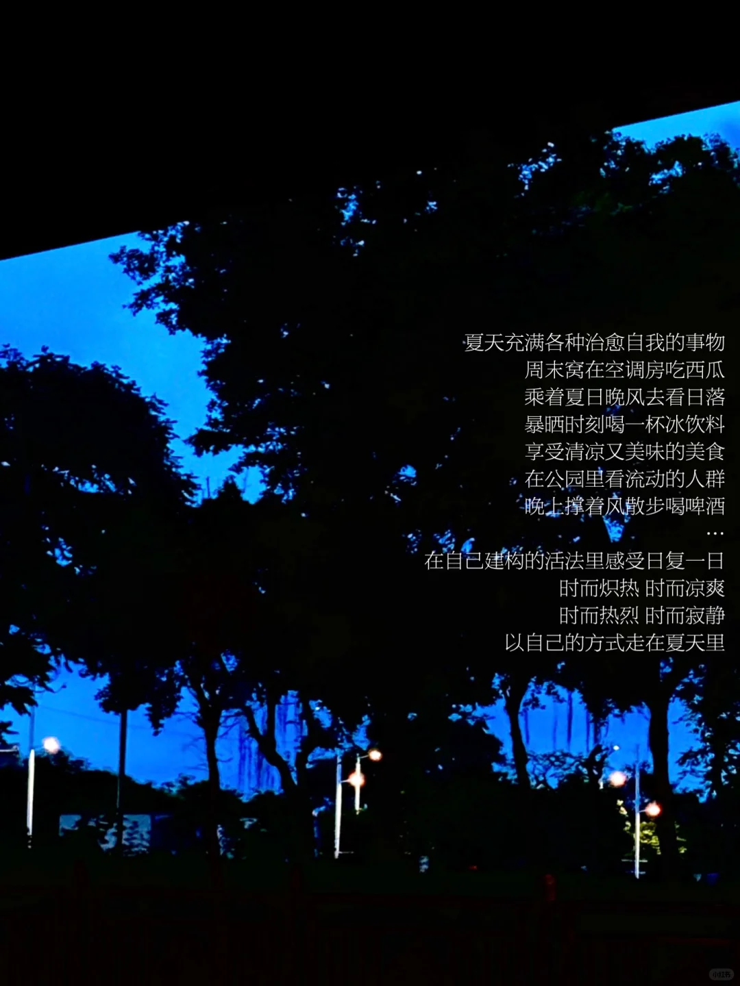 从秩序感抽离的日子也是很好的一天。