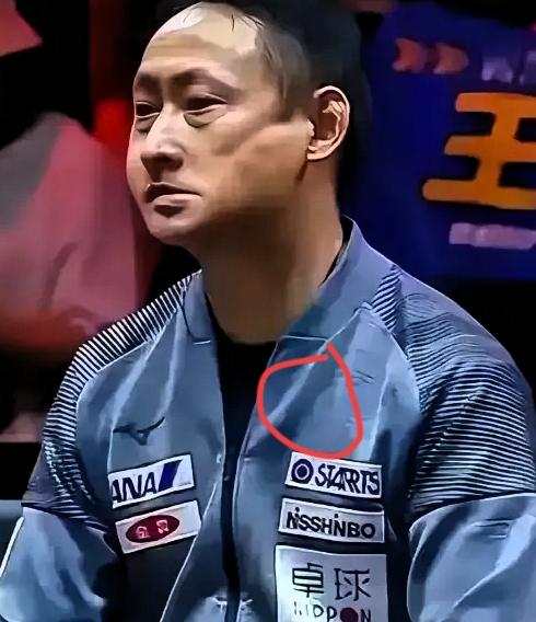 哟呵，张本宇估计气得后槽牙都快咬碎啦！他家一双儿女回成都比赛，本想着能沾点主场光