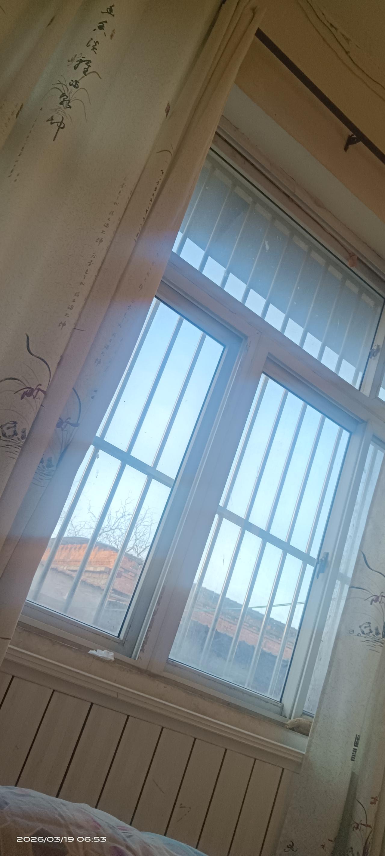 终于晴好了天！有好些时间，没看见太阳了。
现在已经到了七点，看到外面的太阳光这么