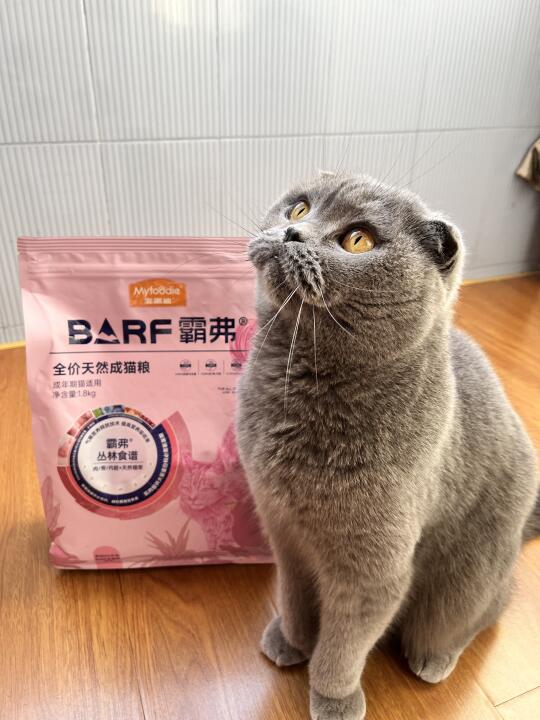 🐱【霸弗猫粮2.0，守护TA的每一口健康】🌟