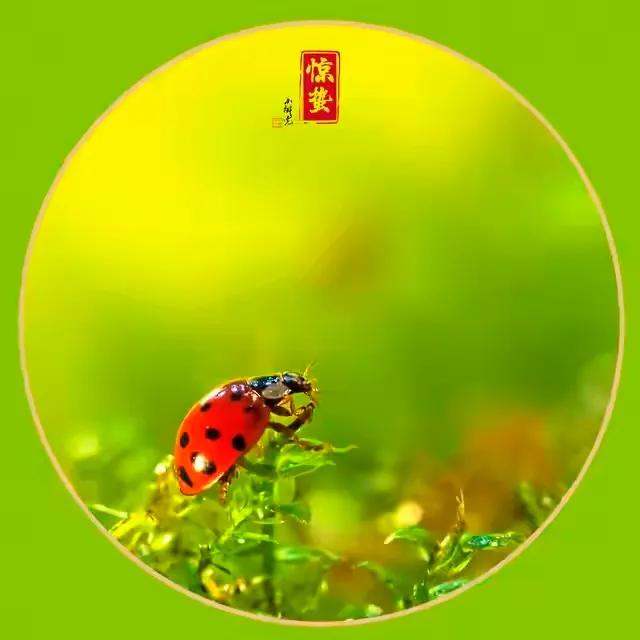 【虫唱惊蛰  ．大地飞歌】
·
喜欢春天虫声
干干净净
一声软 一声暖
．
喜欢