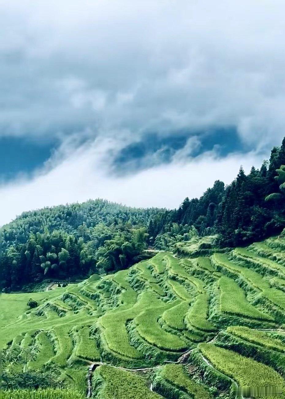 这样的梯田谁不爱！#遇见云和你# ​​​