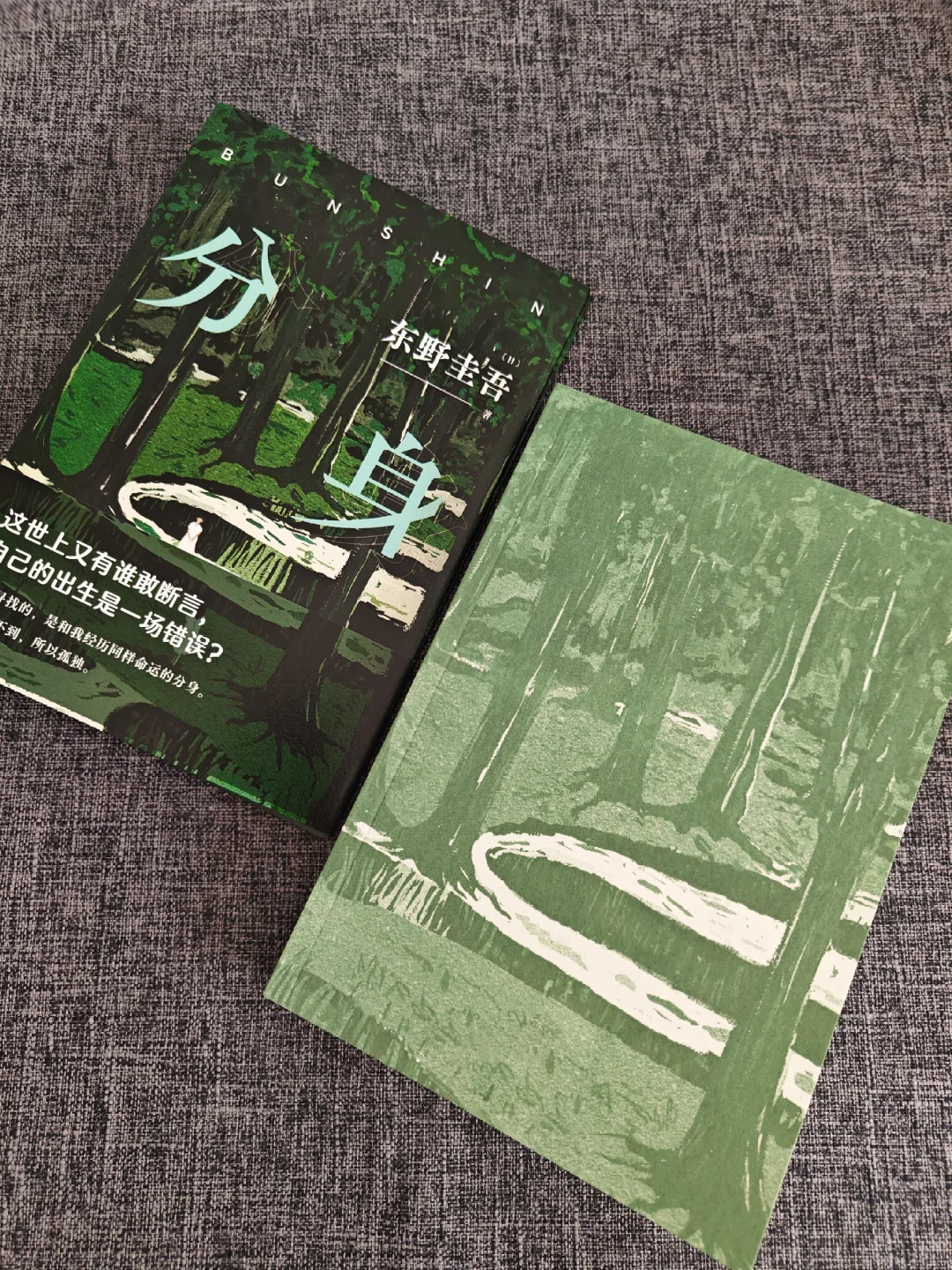 救命！他怎么这么会写呀！