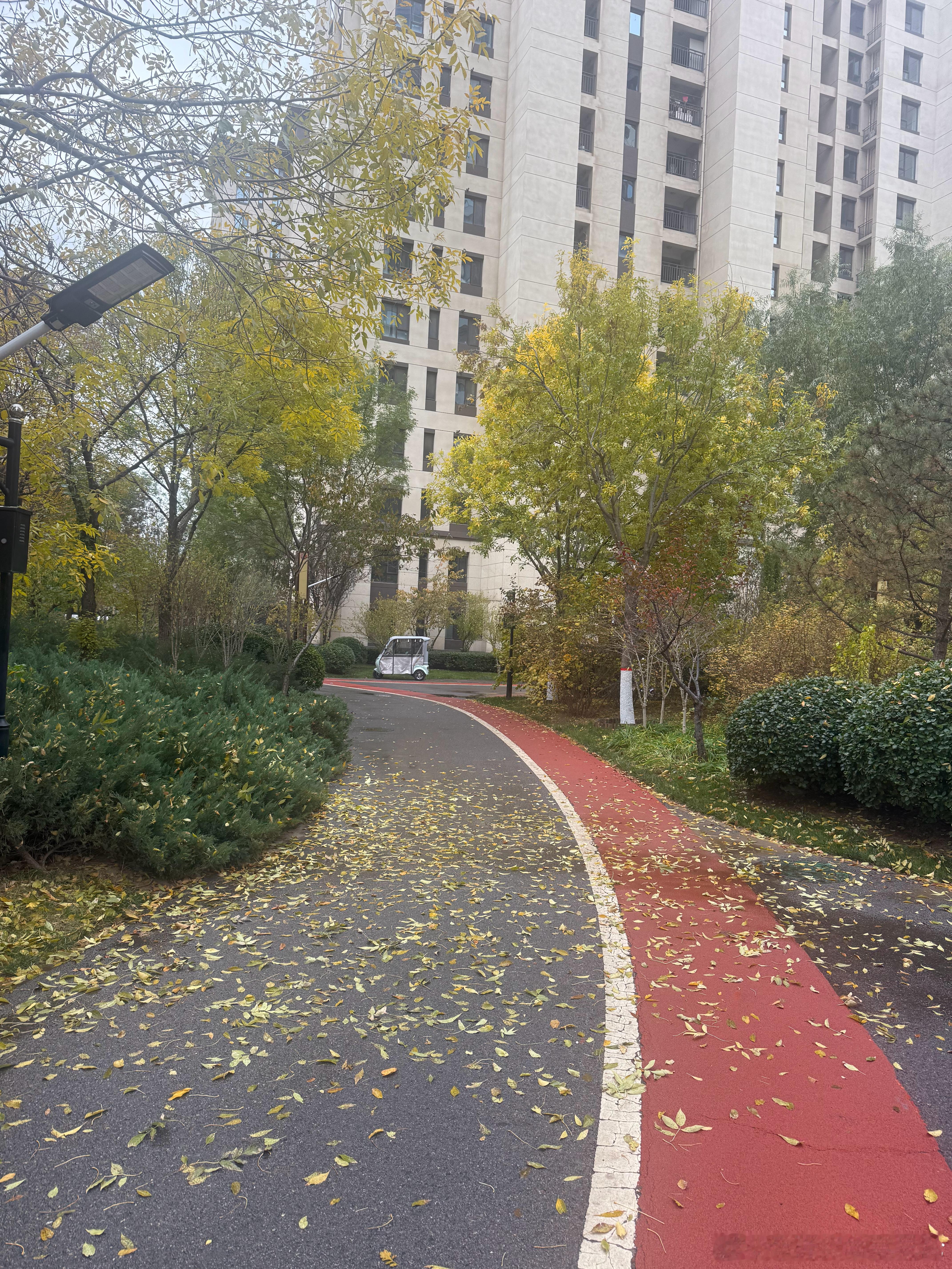 立冬了，多穿衣，多喝热水。 ​​​