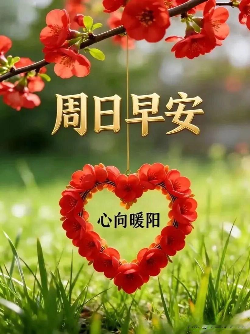 晨风送暖，朝霞满天，一声问候，一份牵念。朋友们，周日快乐！
 
清新的早晨，送上