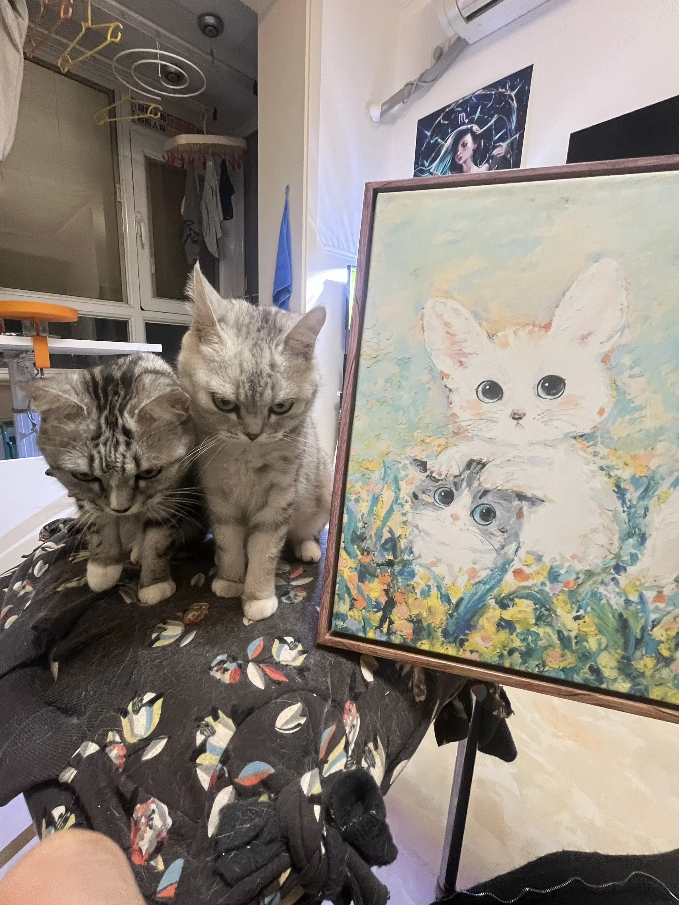 画的没毛病啊？怎么就不高兴了，兔女王😩